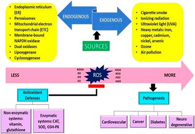 From imbalance to impairment: the central role of reactive oxygen species in oxidative stress-induced disorders and therapeutic exploration